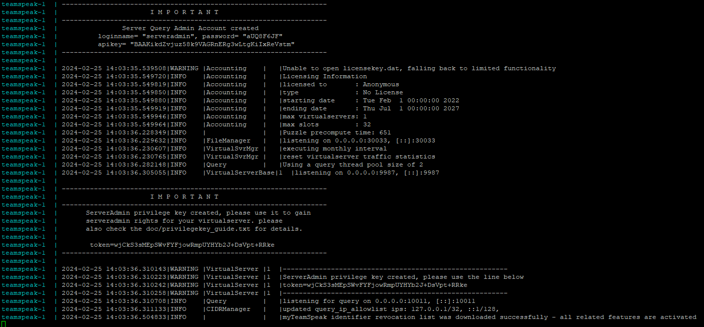 Ausgabe vom TeamSpeak3-Server