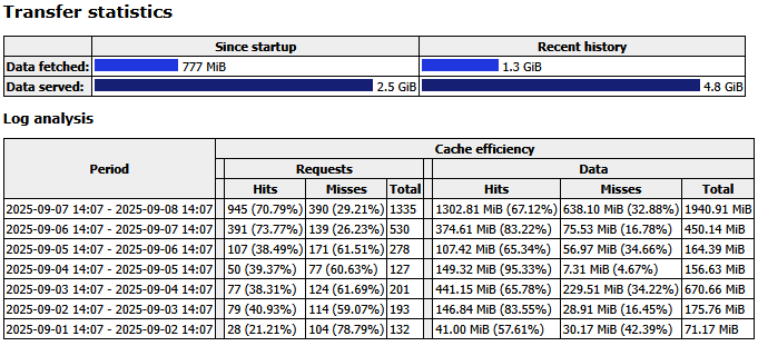 Apt-Cacher NG Statistiken